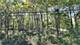 22031 W Spruce, Antioch, IL 60002