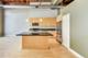 2303 S Michigan Unit 209, Chicago, IL 60616