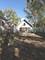 574 Herman, Crete, IL 60417