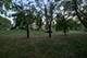 420 Ford, Bartlett, IL 60103