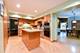 803 W Burr Oak, Arlington Heights, IL 60004