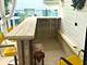 16811 Louis, South Holland, IL 60473