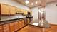 1535 N Paulina Unit 1, Chicago, IL 60622