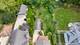 265 N Main, Glen Ellyn, IL 60137
