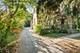 1310 Scott, Chicago Heights, IL 60411