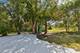1129 Sausalito, Bartlett, IL 60103