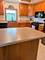 26633 W Astor, Antioch, IL 60002