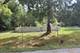 336 Rosedale, Lakemoor, IL 60051