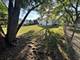 709 W Glencoe, Palatine, IL 60067