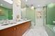 902 S Morgan, Chicago, IL 60607