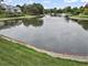 910 Persimmon Unit A, Mount Prospect, IL 60056
