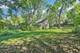 146 Westerfield, Grayslake, IL 60030