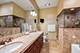 2401 N Janssen Unit 203, Chicago, IL 60614