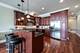 2401 N Janssen Unit 203, Chicago, IL 60614