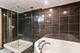 1717 Oakton, Park Ridge, IL 60068