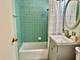 16 E Old Willow Unit 516S, Prospect Heights, IL 60070