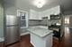 8117 S Burnham, Chicago, IL 60617