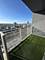 1901 S Calumet Unit 2912, Chicago, IL 60616