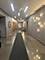 1901 S Calumet Unit 2912, Chicago, IL 60616