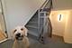 933 N Ashland Unit 2F, Chicago, IL 60622