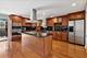 7725 W Myrtle, Chicago, IL 60631