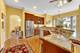9247 Natchez, Morton Grove, IL 60053