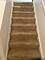 1242 Evergreen, Des Plaines, IL 60016
