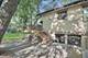236 Monument, Barrington, IL 60010
