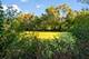 4077 Club Tree, Streamwood, IL 60107