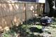 6019 N Paulina, Chicago, IL 60660