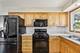 1504 E Emmerson, Mount Prospect, IL 60056