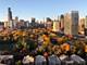 1530 S State Unit 1004, Chicago, IL 60605