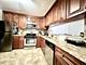 8246 Holly Unit D, Palos Hills, IL 60465