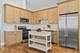 553 N Springfield, Chicago, IL 60624