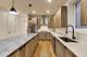1445 N Rockwell Unit 1, Chicago, IL 60622