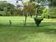 106 Willow, Park Forest, IL 60466