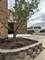 1813 Hemlock Unit 107, Schaumburg, IL 60173