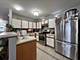 161 Mountain Laurel, Romeoville, IL 60446