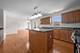 13516 Vicarage, Plainfield, IL 60544