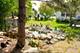 2300 Vineyard, Elgin, IL 60123