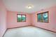 12901 S Muskegon, Chicago, IL 60633