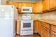 1043 Elmwood, Elk Grove Village, IL 60007