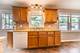 1043 Elmwood, Elk Grove Village, IL 60007