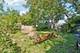 324 N Madison, Woodstock, IL 60098
