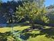 921 S Iowa, Addison, IL 60101
