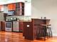 1520 E Marquette Unit 2B, Chicago, IL 60637