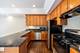 4008 S Calumet Unit 1S, Chicago, IL 60653