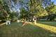 1305 Morningstar, Naperville, IL 60564