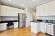 1541 W Henderson Unit D, Chicago, IL 60657