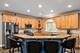 421 W Hawthorne, Arlington Heights, IL 60004
